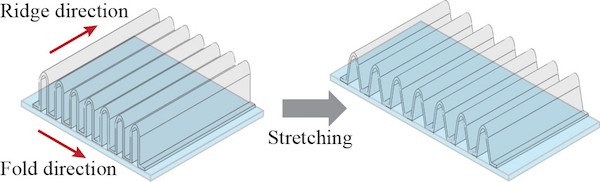 每个脊的尺寸直接影响透明导体的拉伸性能。