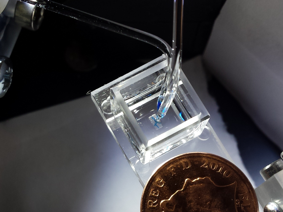3D液滴细胞生物打印机(图片来源:Sam Olof/ Alexander Graham)